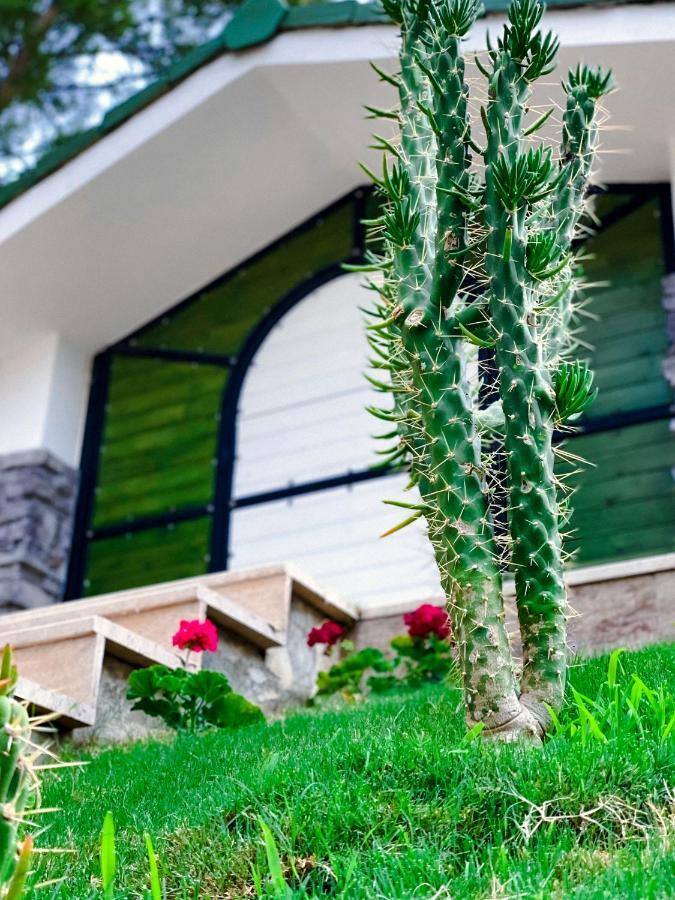 Beacon Hill Suites Ак'яка Екстер'єр фото